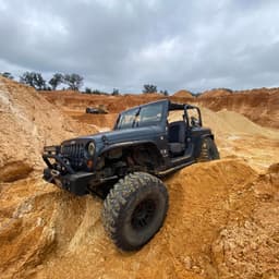 Whitetailwrangler