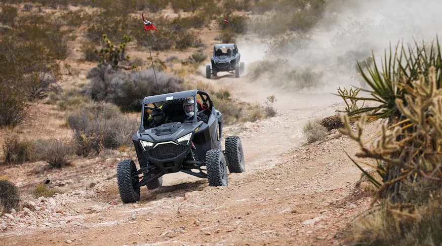 Polaris RZR XP 4 1000 5