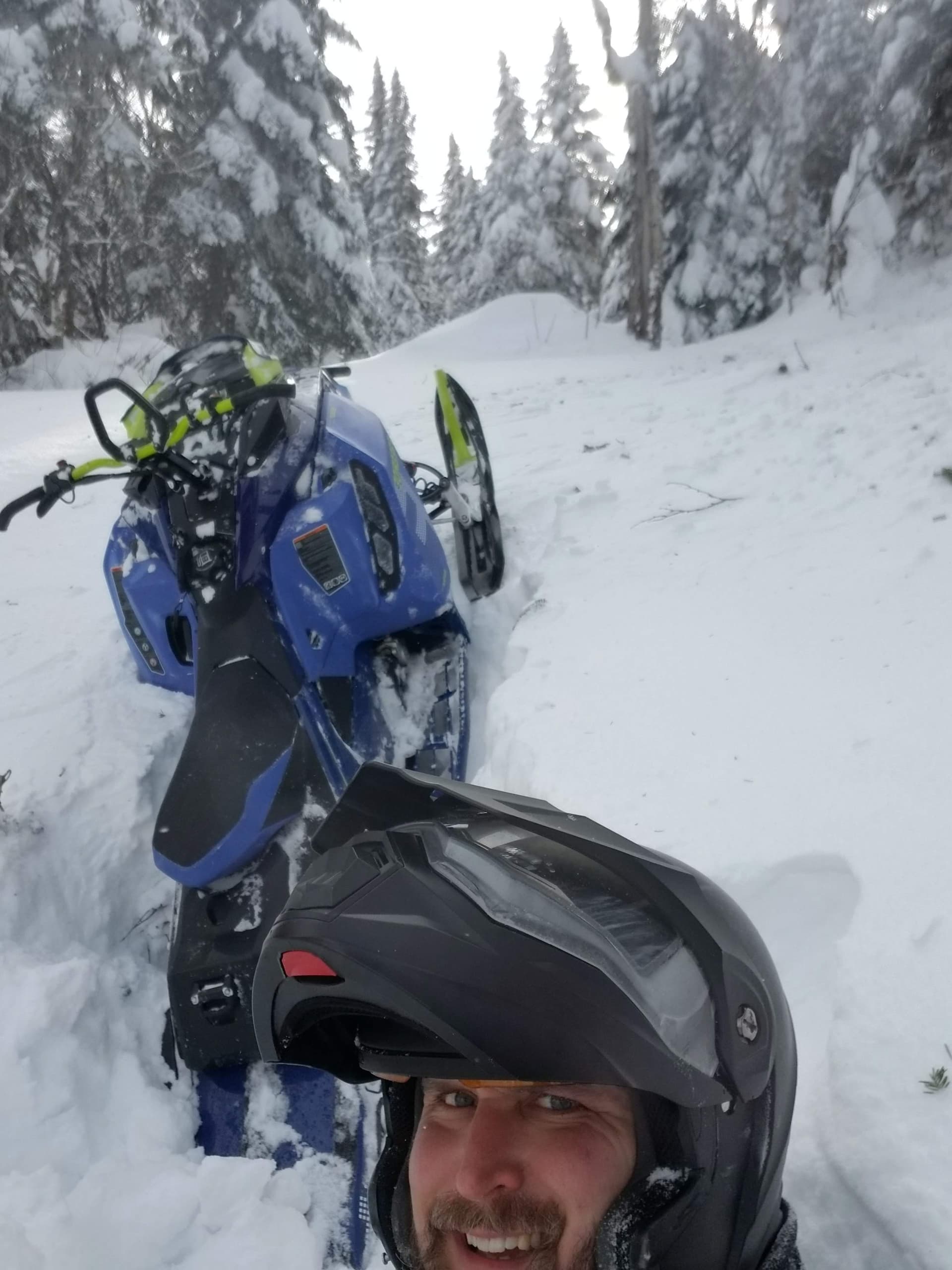 Ain't no freeride 1