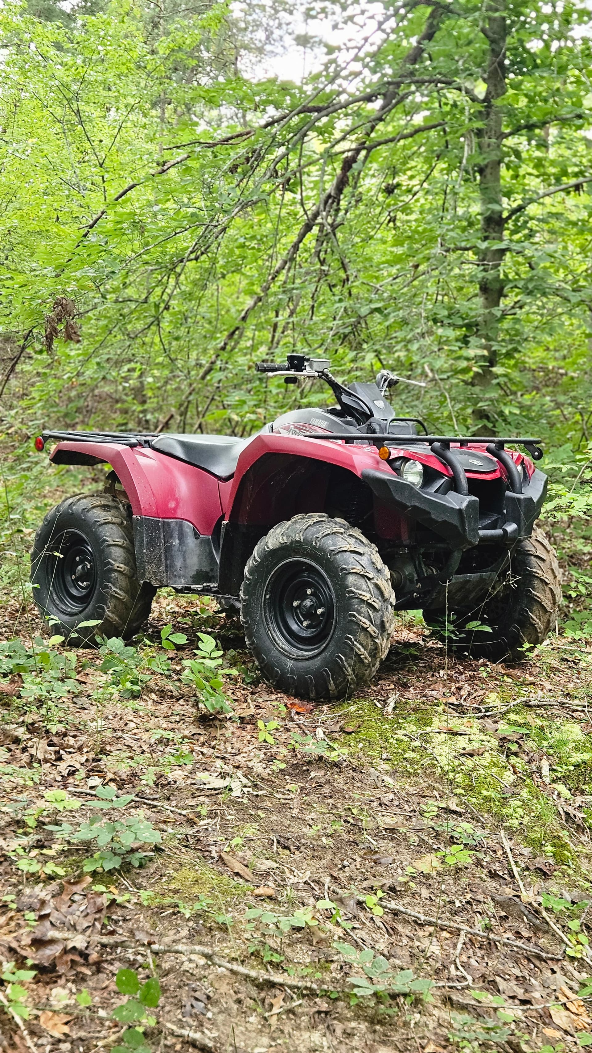 2021 Yamaha Kodiak 450 1