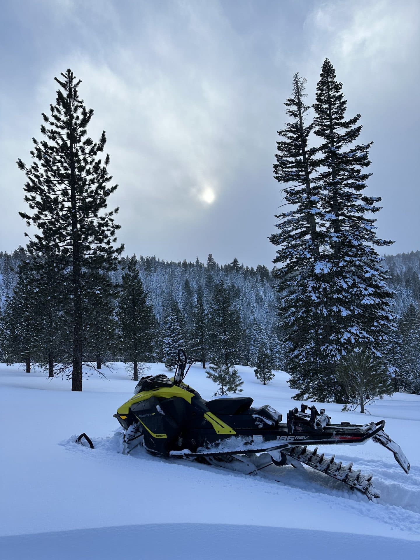 Ski Doo Summit 165 with Trailer 2