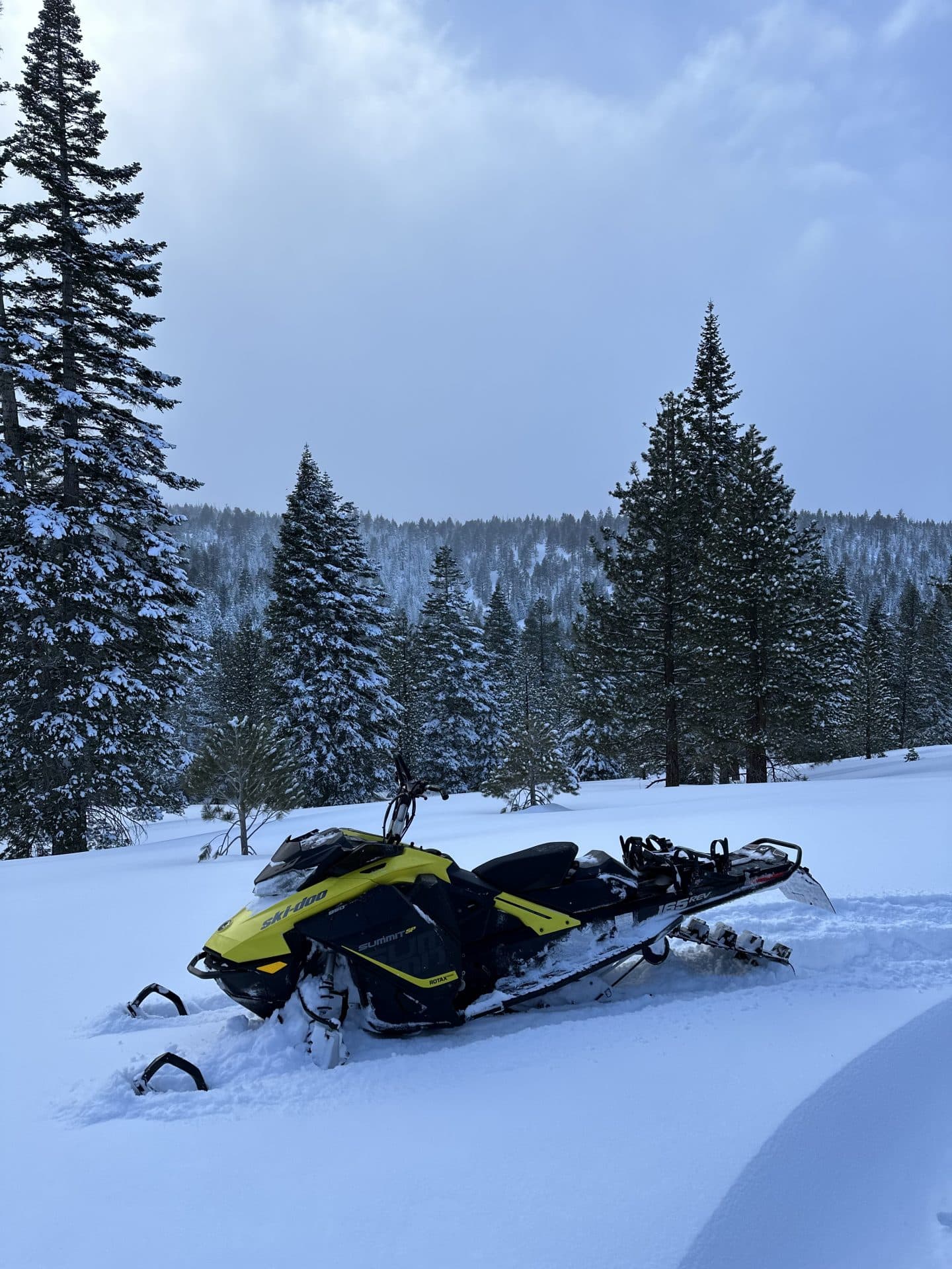 Ski Doo Summit 165 with Trailer 3