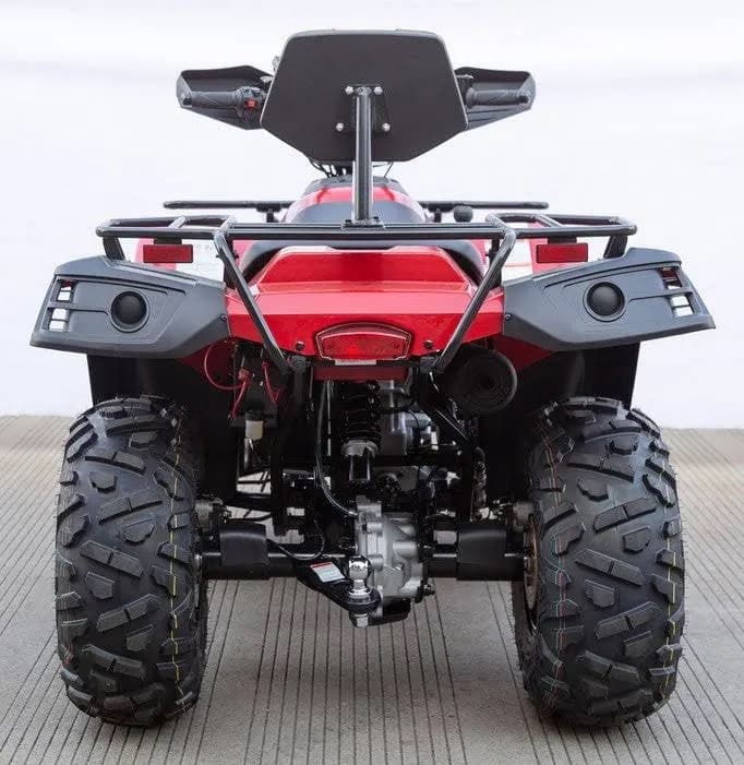 2025 Vitacci 300 Terminator 4×4 3