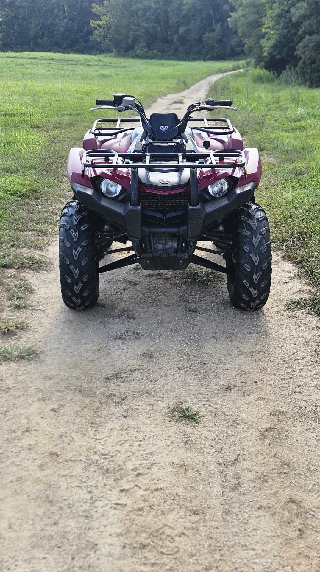 2021 Yamaha Kodiak 450 4